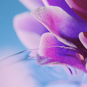 多男操一女视频
