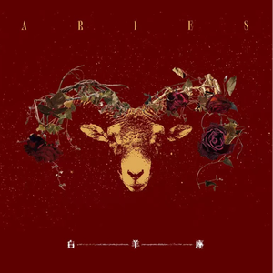 多男操一女视频
