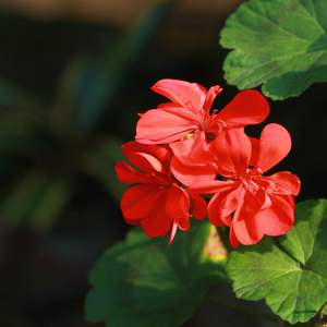 多男操一女视频
