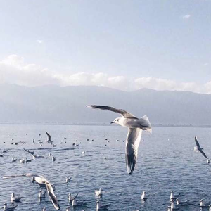 多男操一女视频
